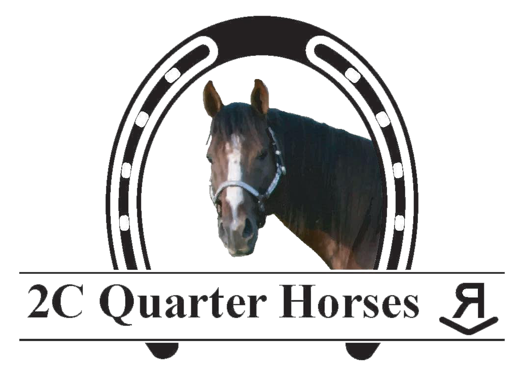 2C Quarter Horses