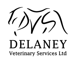 Delaney Veterinary Services Ltd.